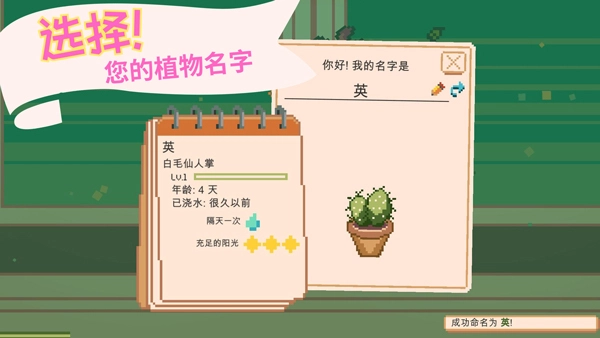 窗边花园图2
