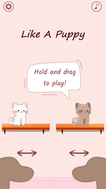 猫咪二重唱图3