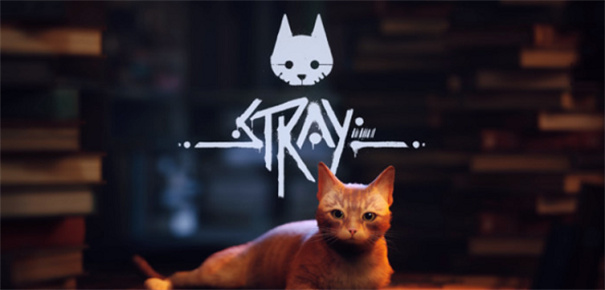 stray迷失图1
