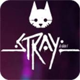 stray迷失
