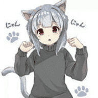 冷狐宝盒直装版