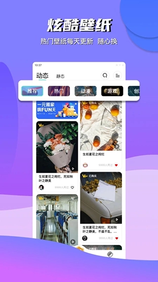 青云壁纸安卓版图3