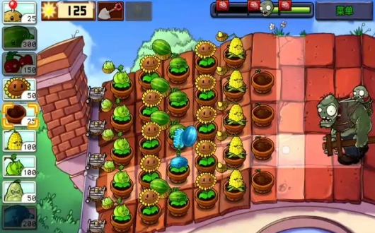 植物大战僵尸屋顶版图2