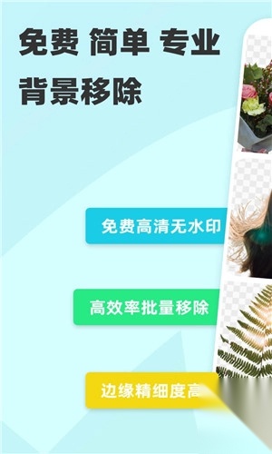 椰子背景图2
