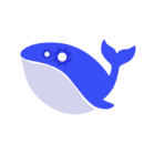 DeepSeek通用版