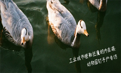 豆瓣音乐软件图1