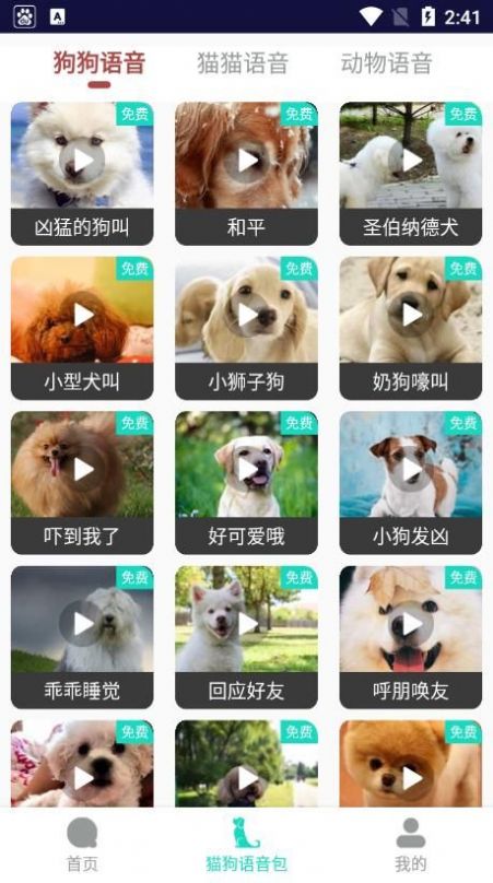 多多猫语狗语翻译器直装版图4