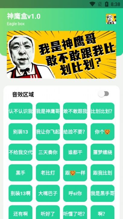 神鹰盒版图2