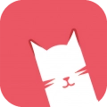 猫咪视频最新免费版
