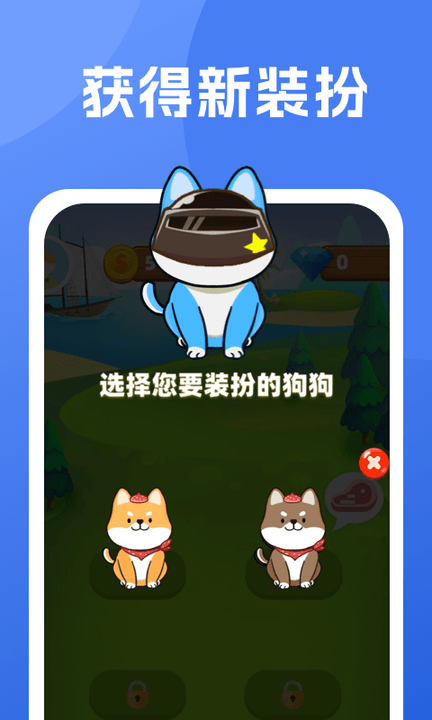 柴犬日记图1