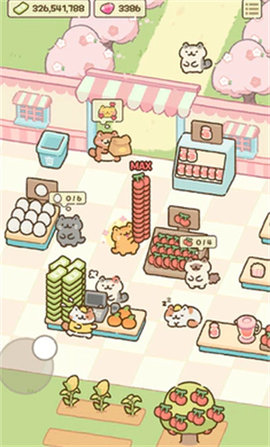 猫市图4