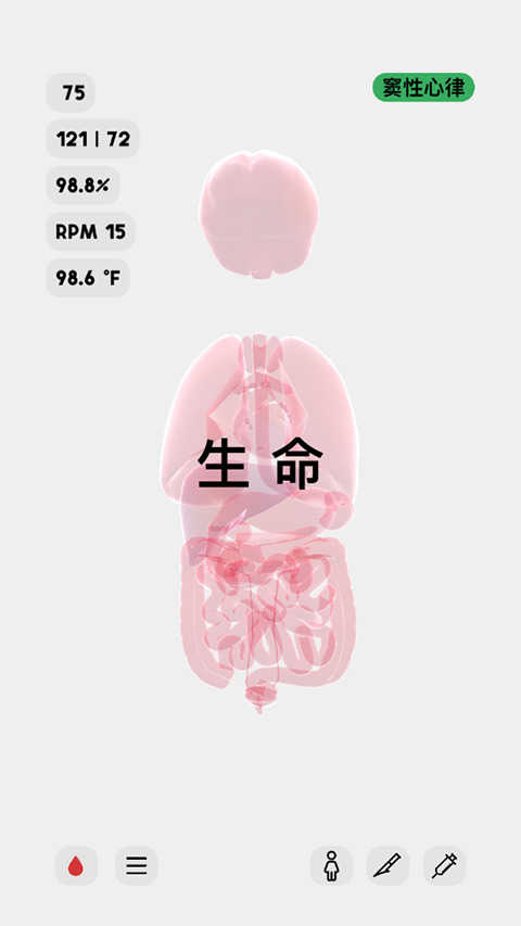 生命life图4
