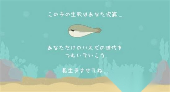 养萨卡班甲鱼图2