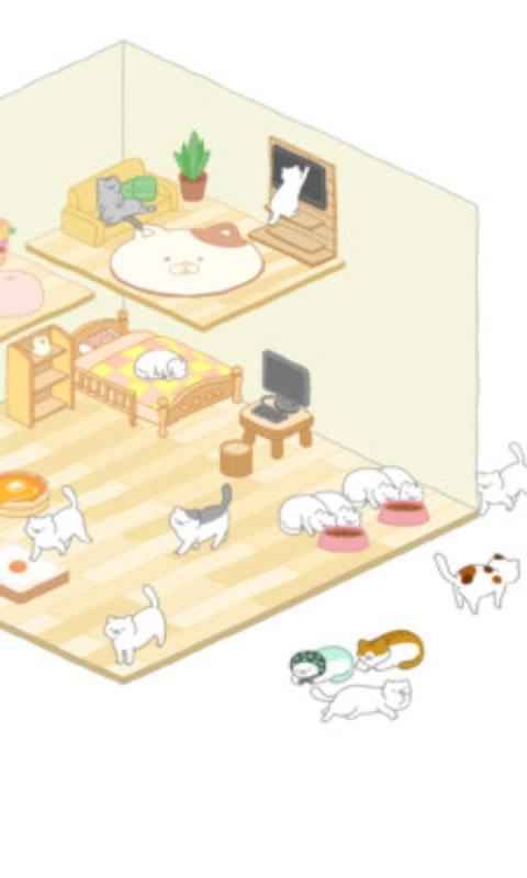我的猫咪图3