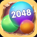 2026合并冠军