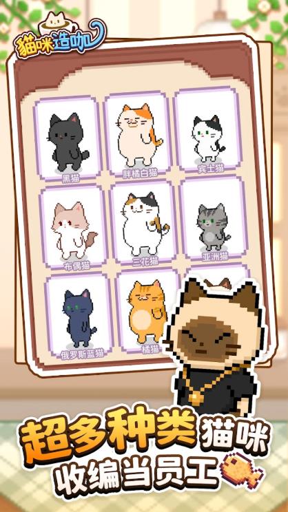 猫咪造咖图2