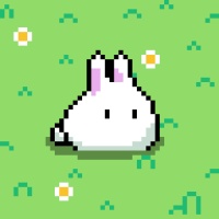 Rabbits Hop兔子跳游戏
