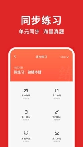 题拍拍手机版图3