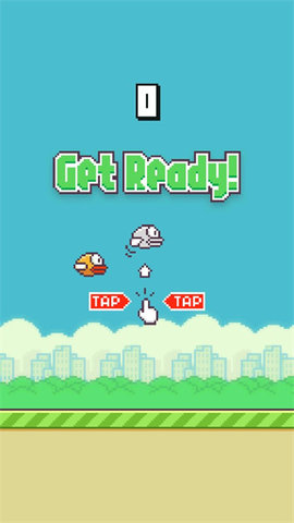 fly bird图2