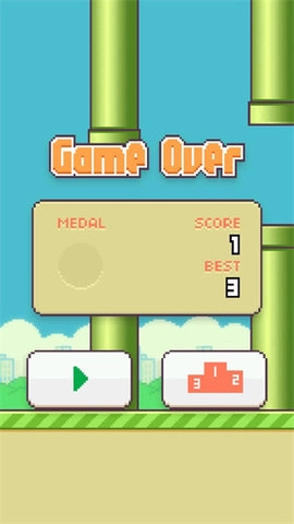 fly bird图4