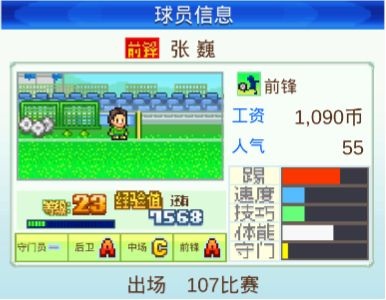 冠军足球物语1游戏纯净版图1