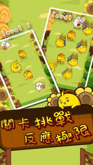 那一天我们一起抓的咕咕鸡图2