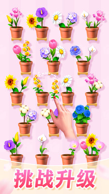 插花消除免广告版图2