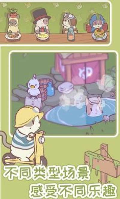 猫咪物语图2