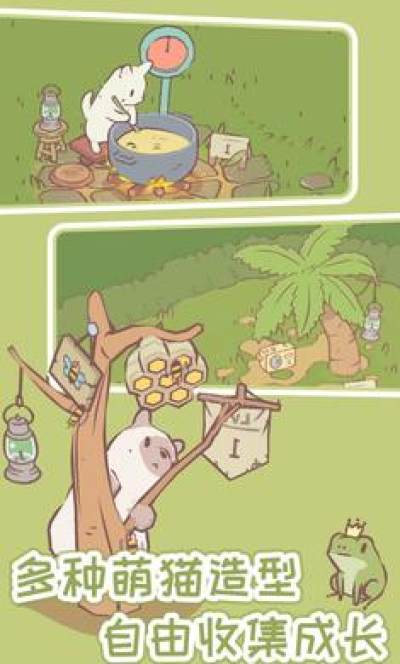 猫咪物语图4