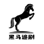 黑马追剧免费原版