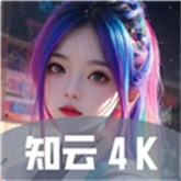 知云4K直装版