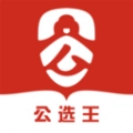 公选王遴选网正版