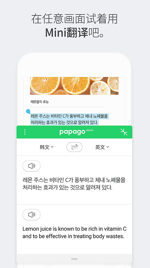 papago中韩翻译软件图2