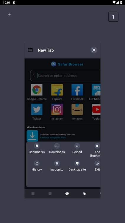 safari浏览器(safari browser)图3