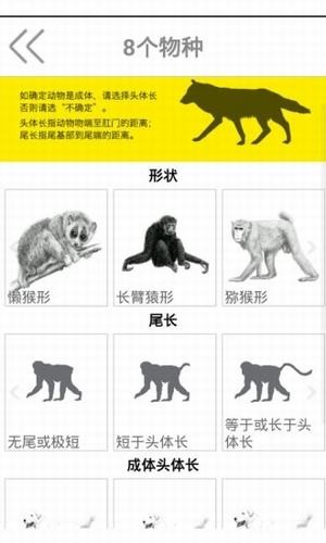 动物守护者图3
