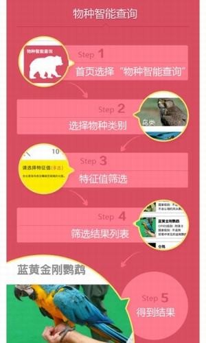 动物守护者图2