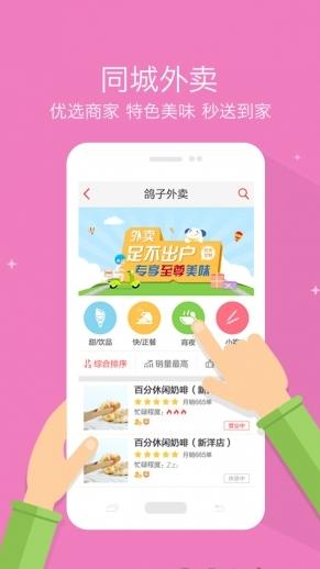 同城鸽图2