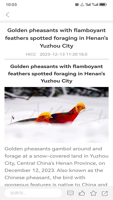 hihenan安卓版图5