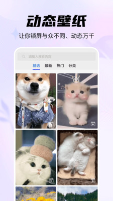 随心手机壁纸图4