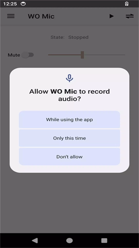 Womic麦克风正版图4