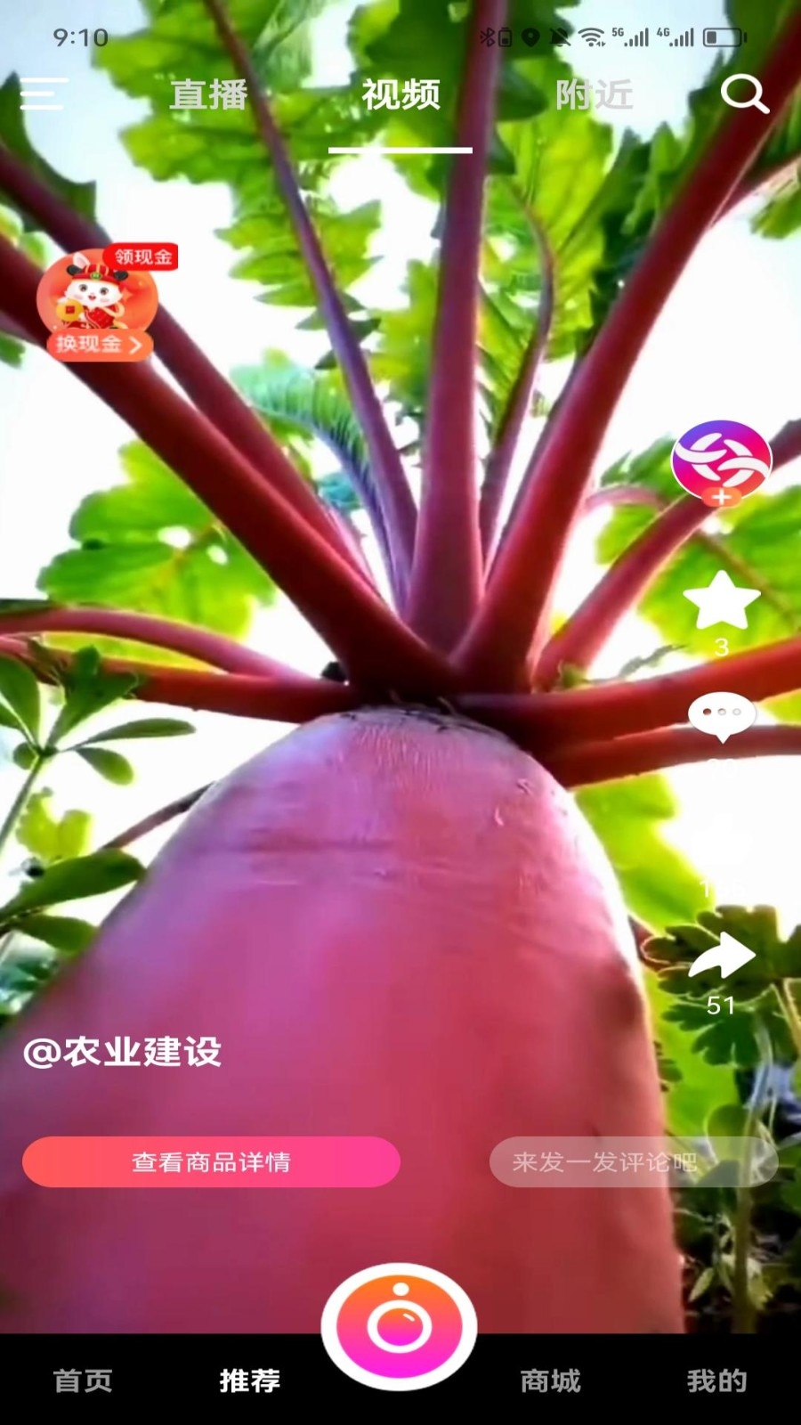 米蕉点视图3