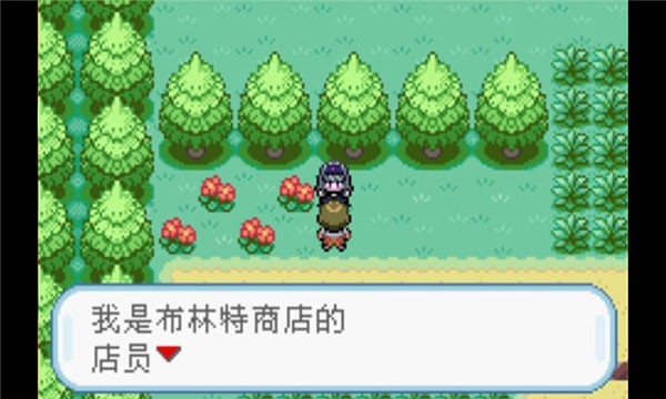 口袋妖怪火红手机版图2