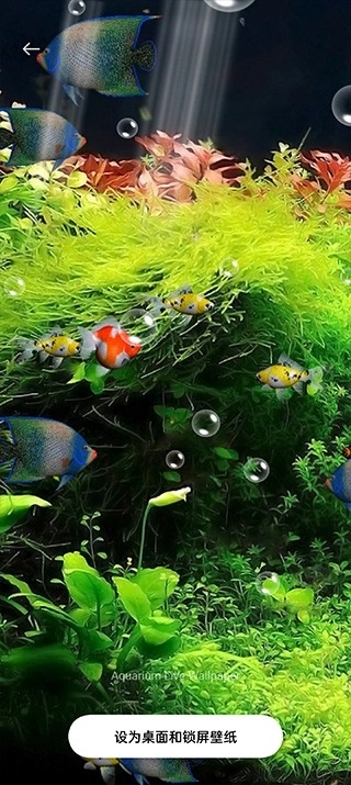 水族馆动态壁纸安卓版图3