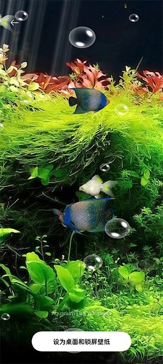 水族馆动态壁纸安卓版图4