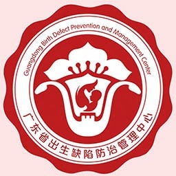优粤云直装版