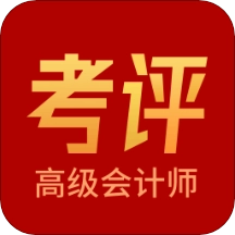 高级会计师考评助手原版