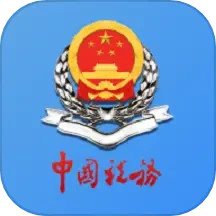 新疆税务官方正版