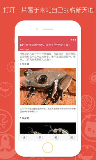 热辣酱正版图3
