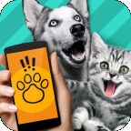 pettranslator宠物对话翻译器无广告版