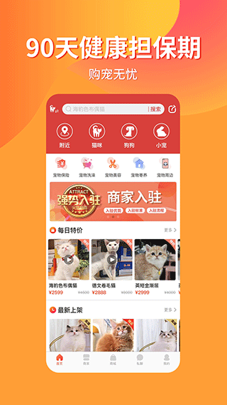 宠物市场安卓直装版图1